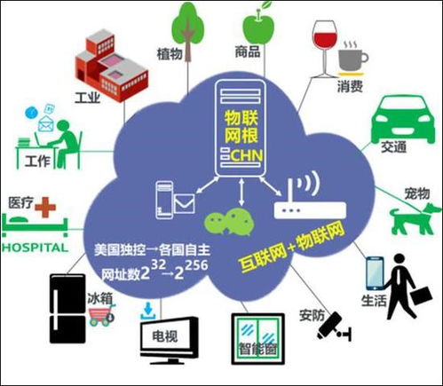 我国自主知识产权的 .chn 域名亮相